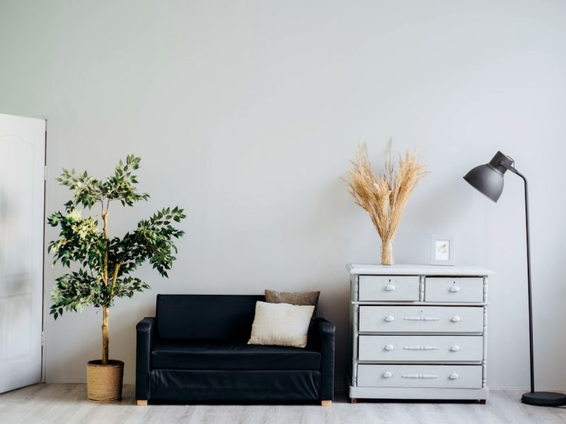 Curating Spaces for Calm Reflection: The Warm Minimalist Interior
